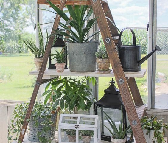 creative diy ladder shelves